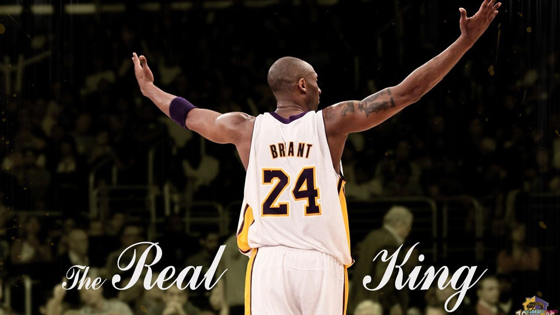 全民狂欢电竞盛典,万人在线燃爆全场!